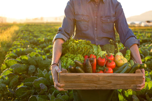 Direct Farm Sourcing